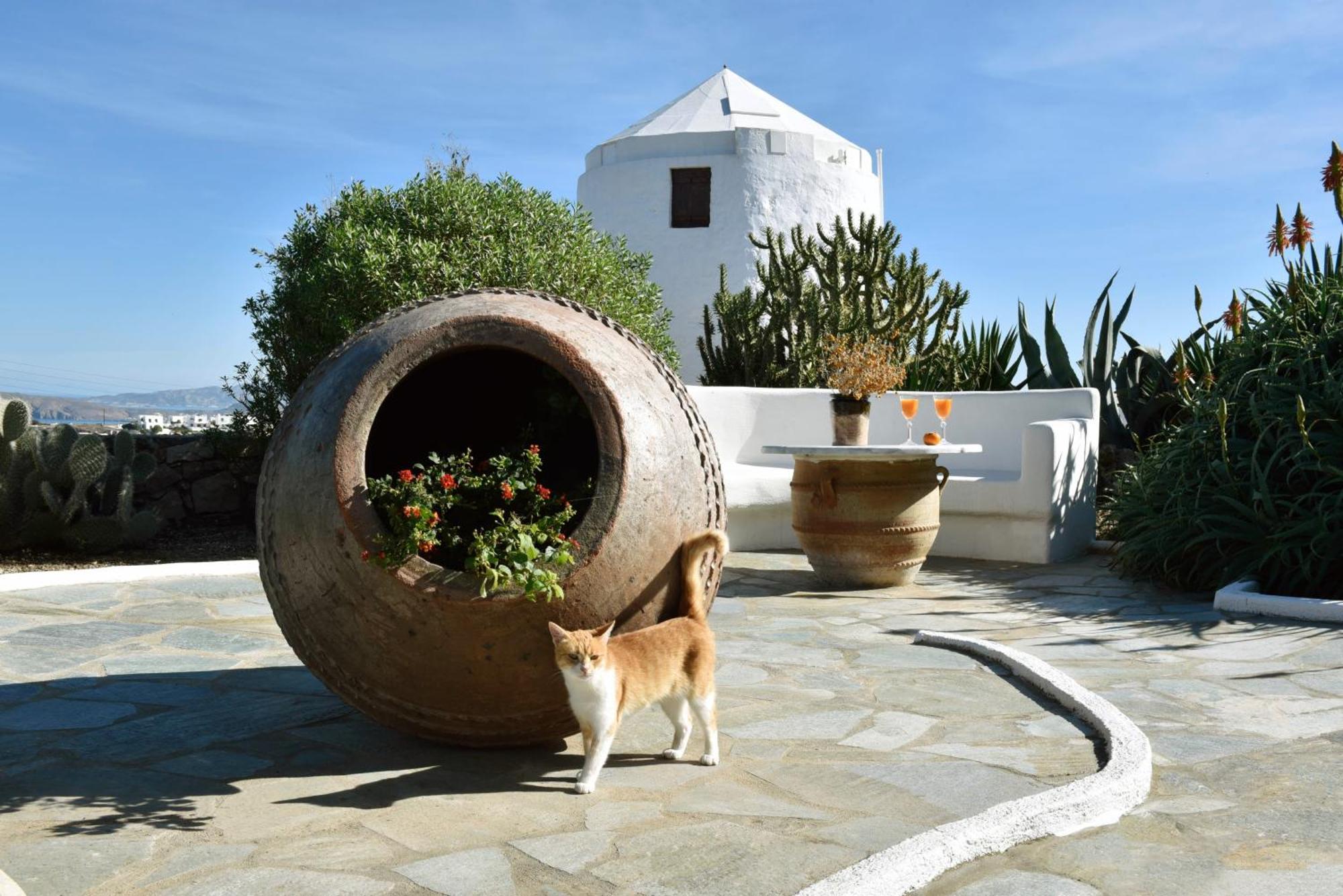 Anastasia'S Windmill And Anastasia'S Studio Plaka  Exterior photo